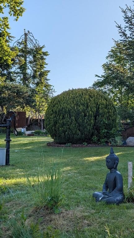 Gemütliche Sitzecke im Garten des Cottage Eisvogel
