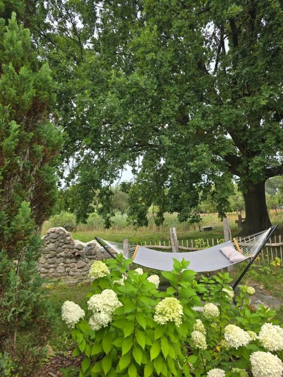Ruhiger Garten mit Hängematte im Grünen